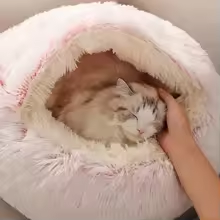 Hot bed 2-in-1